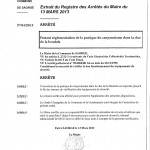 2013_AM_Bendo